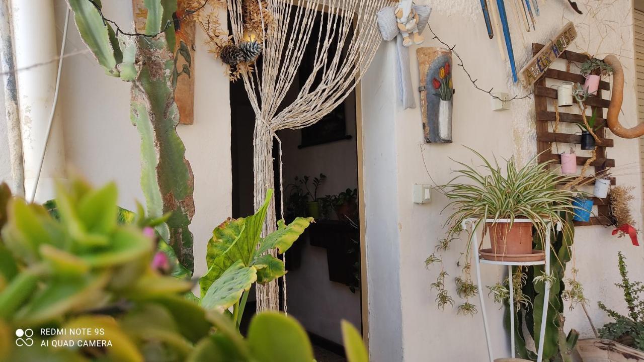Amelie House Homestay