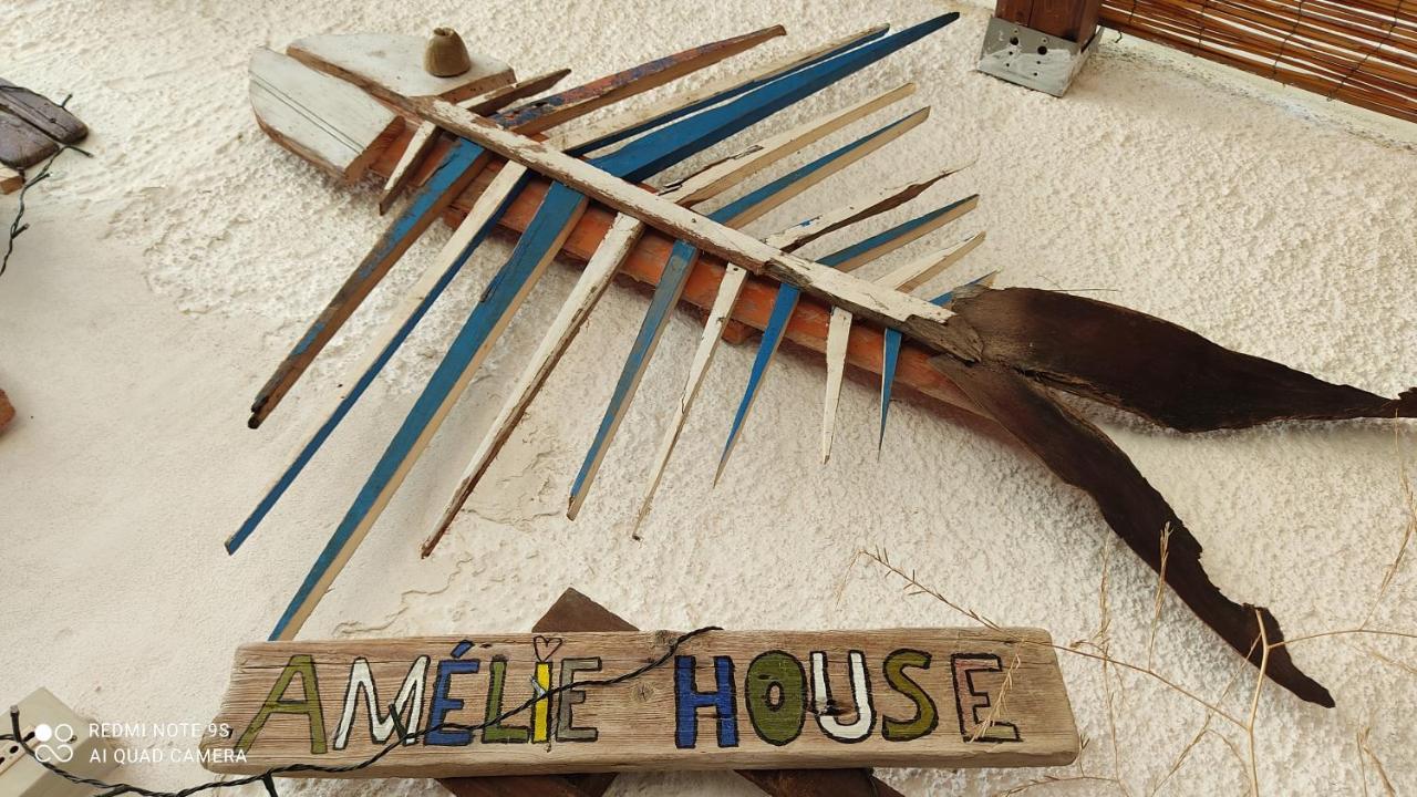Amelie House Homestay