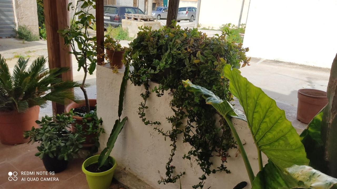Amélie's House *