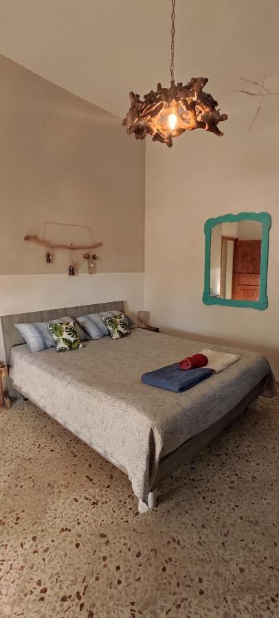 Amélie's House