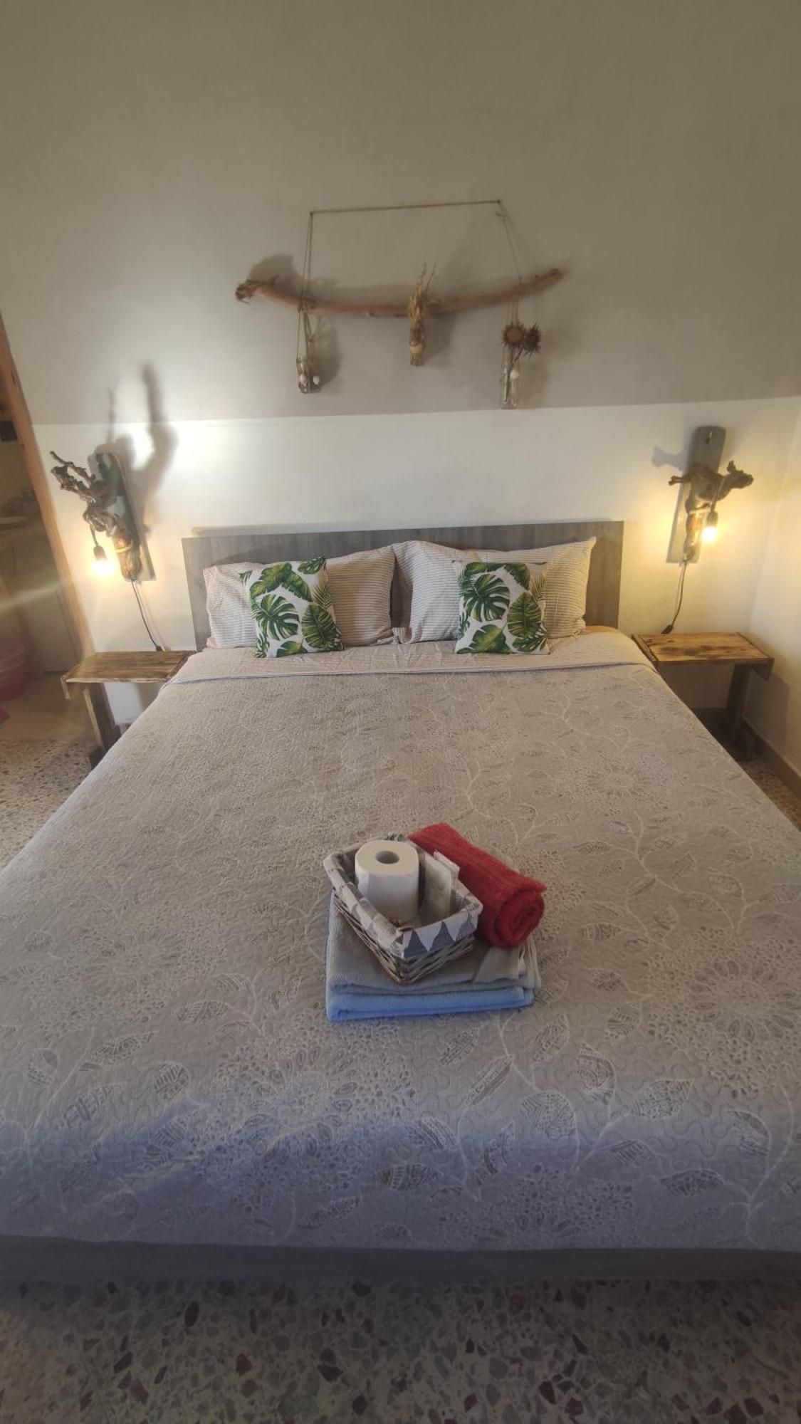 Homestay Amelie House